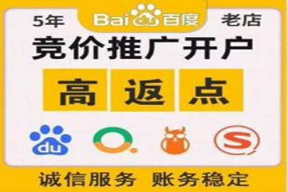 SEM运营推广助力行业领导地位